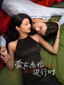 电影:爱在离婚进行时