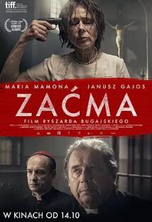 电影:盲2016