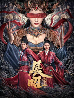 电影:展昭·探案