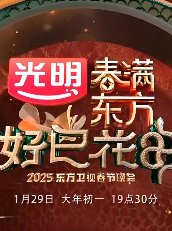 电影：2025东方卫视春晚