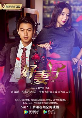 电影:好妻子