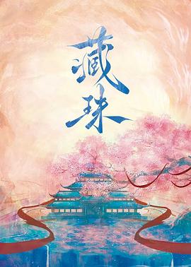 电影：藏珠