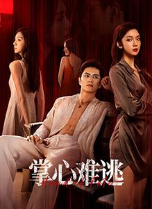 电影：掌心难逃