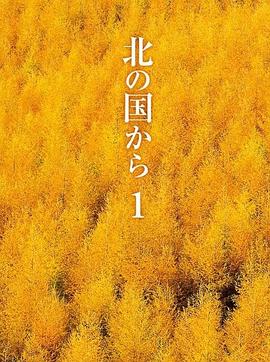 电影：北国之恋