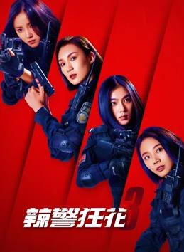 电影：辣警狂花3