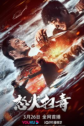 电影:怒火扫毒