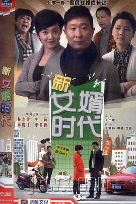 电影：新女婿时代
