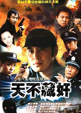 电影：天不藏奸