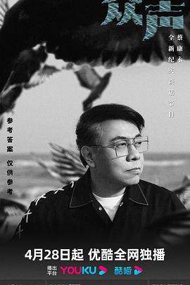 电影:众声