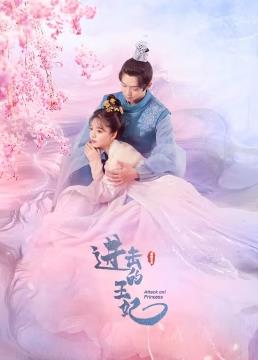 电影：进击的王妃