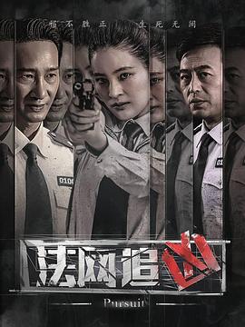 电影：法网追凶第二季