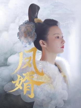电影:凤婿