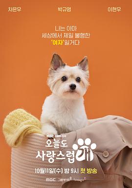 电影：今天也很可爱的狗