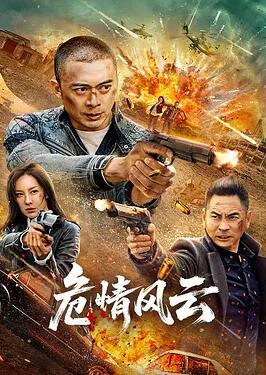 电影：危情风云