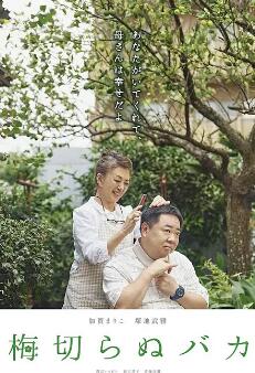 电影:不砍梅树的傻瓜