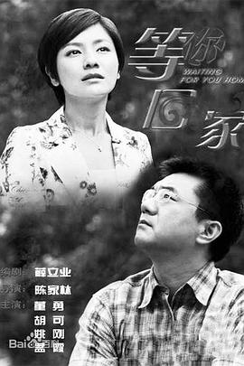 电影:我在等你回家