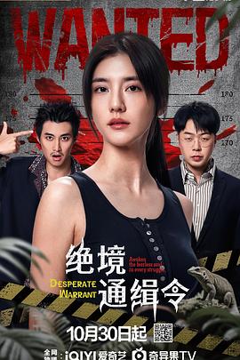 电影：绝境通缉令