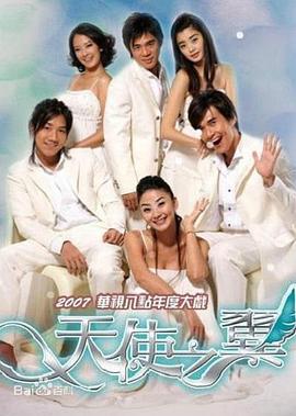 电影：天使之翼2007