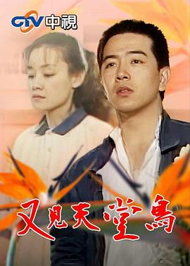 电影:又见天堂鸟