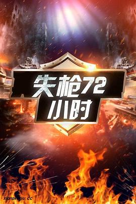 电影:失枪72小时