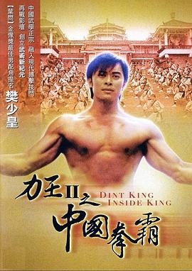 电影：力王中王