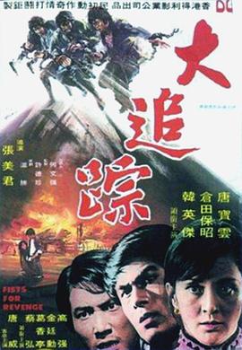 电影:大追踪