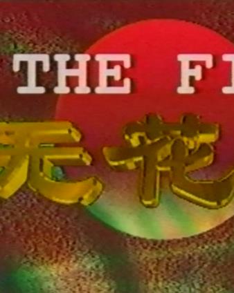 电影:无花果