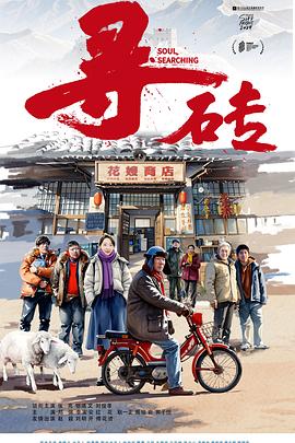 电影：寻砖