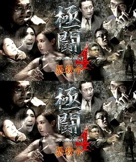电影：极斗4之暴杀令