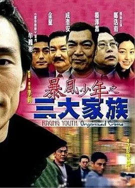 电影:暴风少年之三大家族