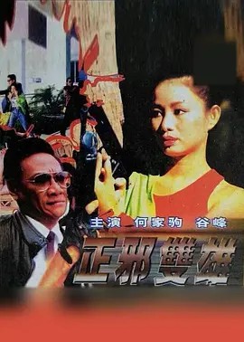 电影:正邪双雄