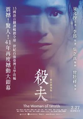 电影:杀夫