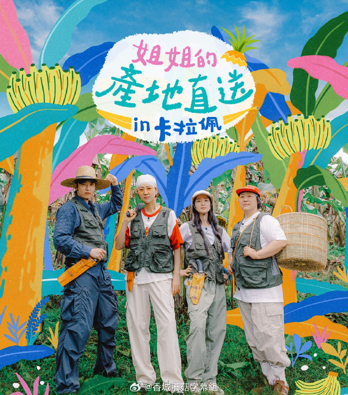 电影：姐姐家的产地直送3