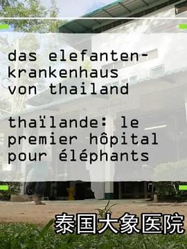 电影：泰国大象医院