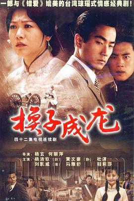 电影：换子成龙