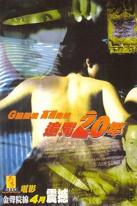 电影:追凶20年粤语