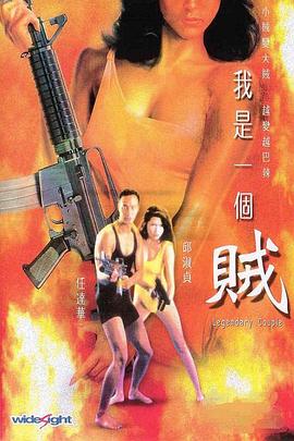 电影：我是一个贼粤语