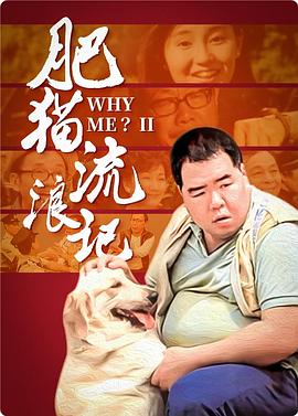 电影：肥猫流浪记国语
