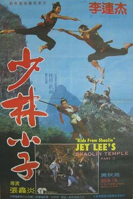 电影：少林小子国语