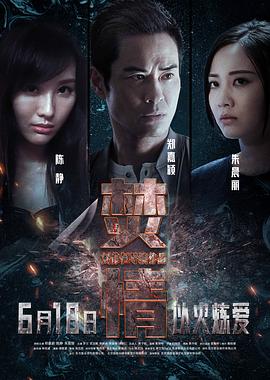 电影：焚情粤语