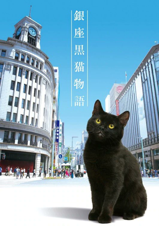 电影：银座黑猫物语