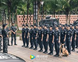 电影:女特警2024