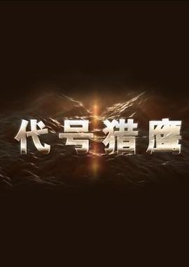 电影:代号猎鹰