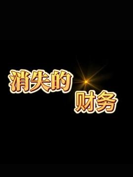电影:消失的财务