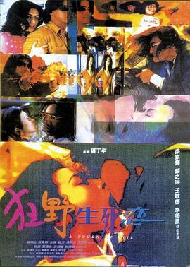 电影:狂野生死恋