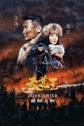 电影：天道王