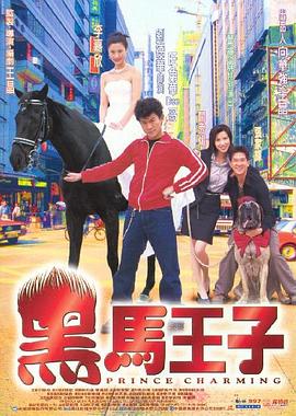 电影：黑马王子国语