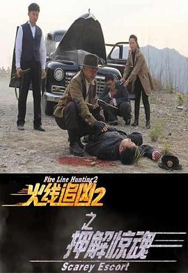 电影:火线追凶2之押解惊魂