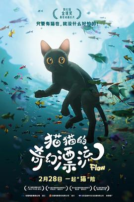 电影：猫猫的奇幻漂流