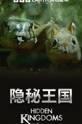 电影：隐秘王国